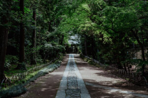 寿福寺