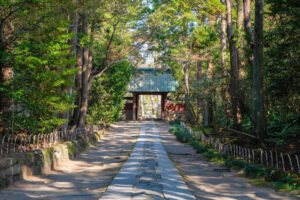 寿福寺