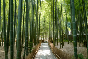 報国寺